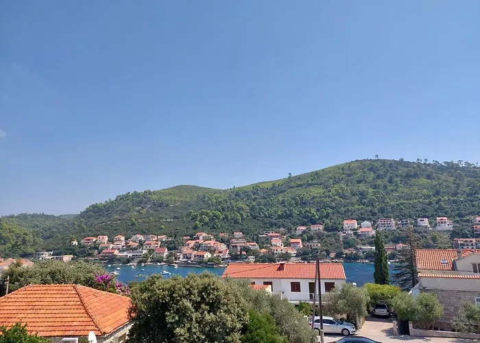 Near The Beach- Zen 2